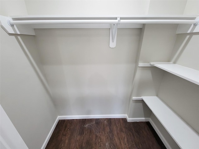 spacious closet with dark hardwood / wood-style flooring