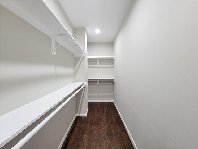 walk in closet with dark hardwood / wood-style floors