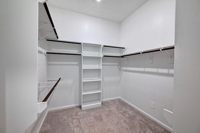 walk in closet featuring light colored carpet