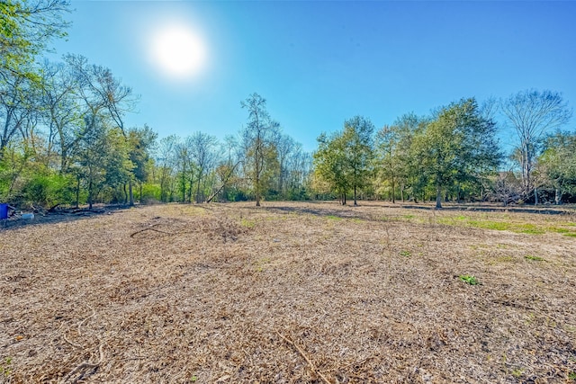 7226 King St, Manvel TX, 77578 land for sale