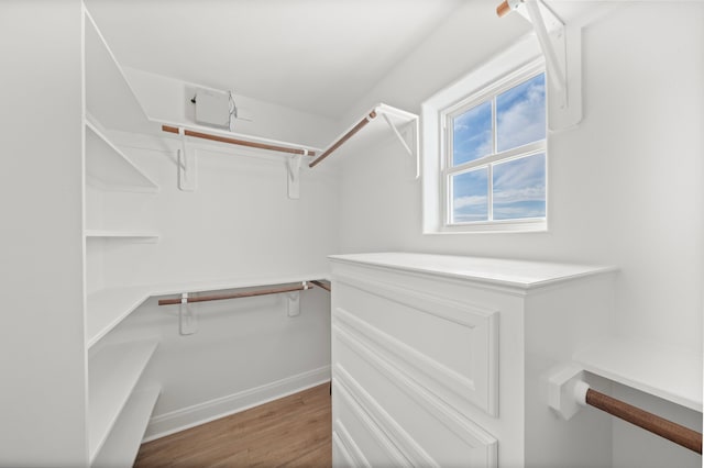 spacious closet featuring wood finished floors