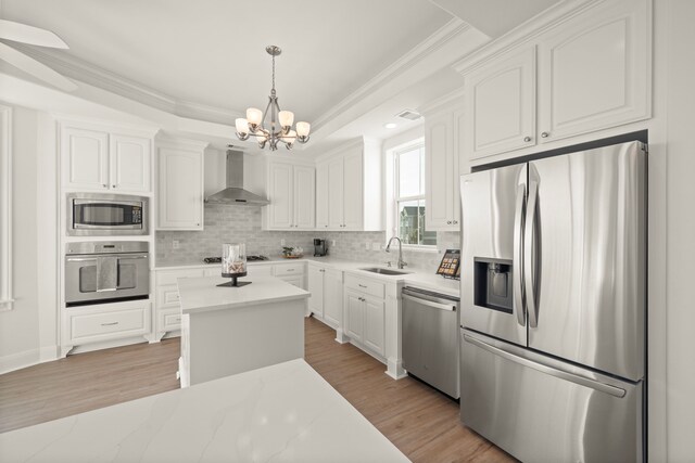 kitchen with white cabinetry, stainless steel appliances, wall chimney range hood, and a sink