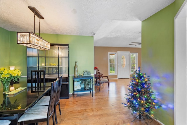 dining area featuring ceiling fan, light hardwood / wood-style floors, and a textured ceiling