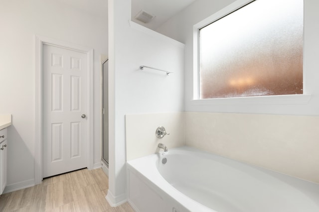 bathroom featuring vanity and independent shower and bath