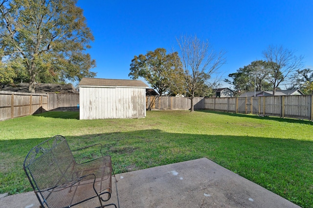 view of yard with a storage shed