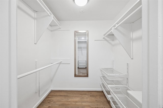 walk in closet featuring wood-type flooring