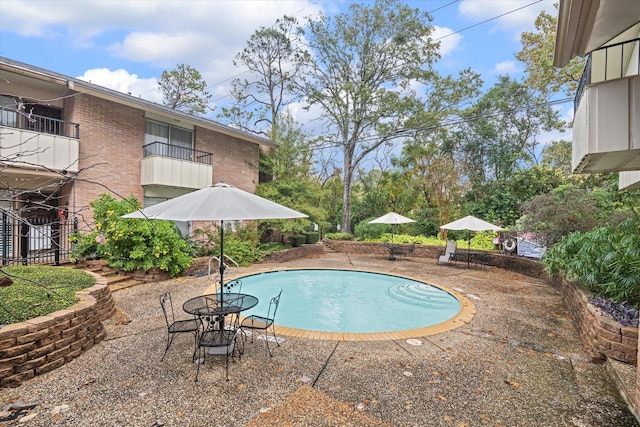 view of pool featuring a patio