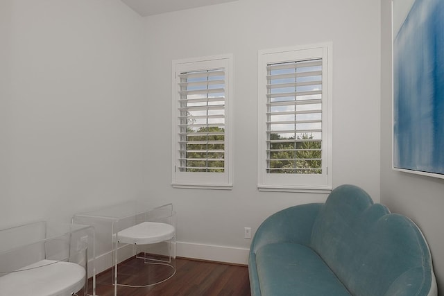 sitting room with dark hardwood / wood-style floors