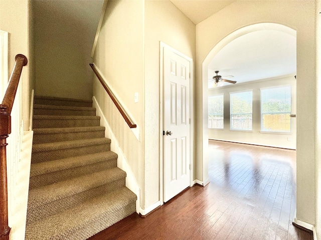 staircase featuring ceiling fan and wood-type flooring