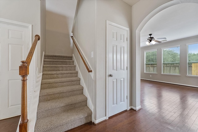 stairway with ceiling fan and wood-type flooring