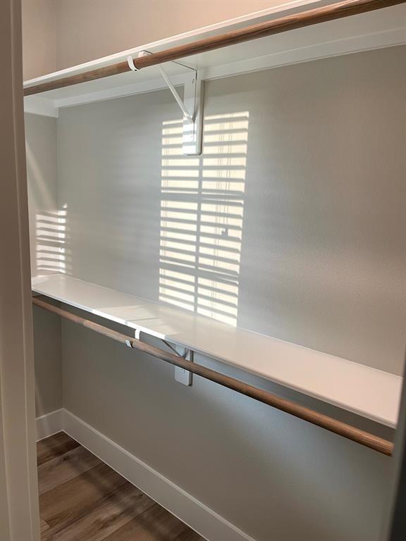 spacious closet featuring dark wood-type flooring