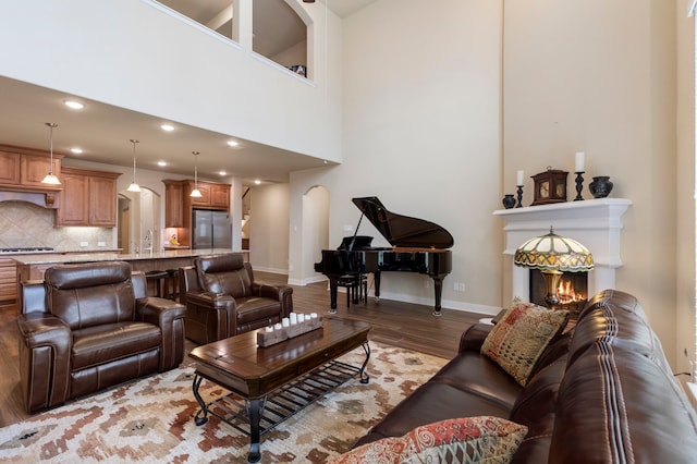 living room with a high ceiling and dark hardwood / wood-style flooring