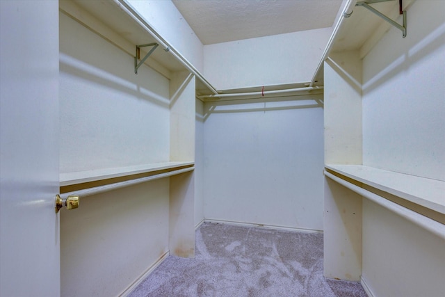 spacious closet with light carpet