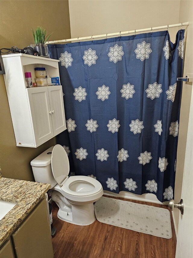 bathroom featuring toilet, vanity, and hardwood / wood-style flooring