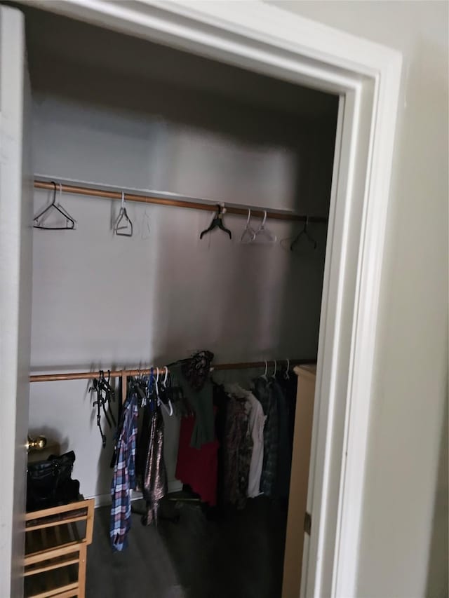 view of closet