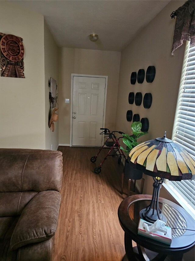 living room featuring wood-type flooring