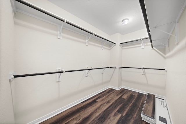 walk in closet featuring dark hardwood / wood-style floors