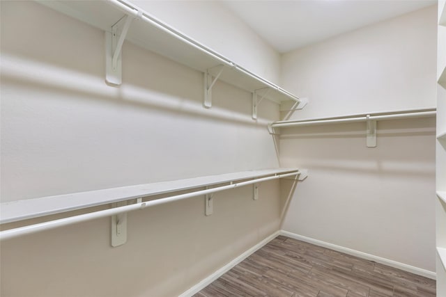 walk in closet with wood-type flooring