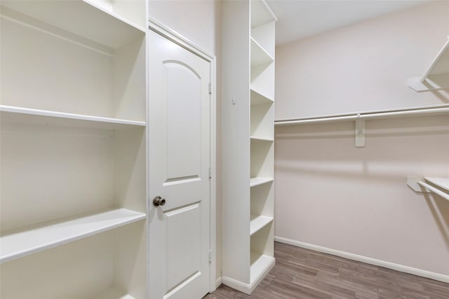 spacious closet featuring wood-type flooring