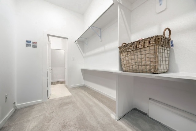 spacious closet with light carpet