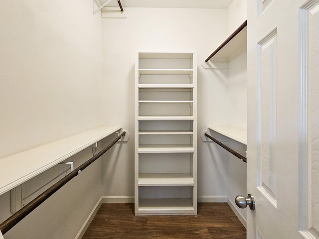 spacious closet featuring dark hardwood / wood-style flooring