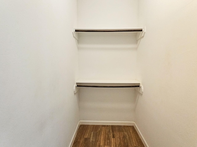 walk in closet featuring dark hardwood / wood-style floors