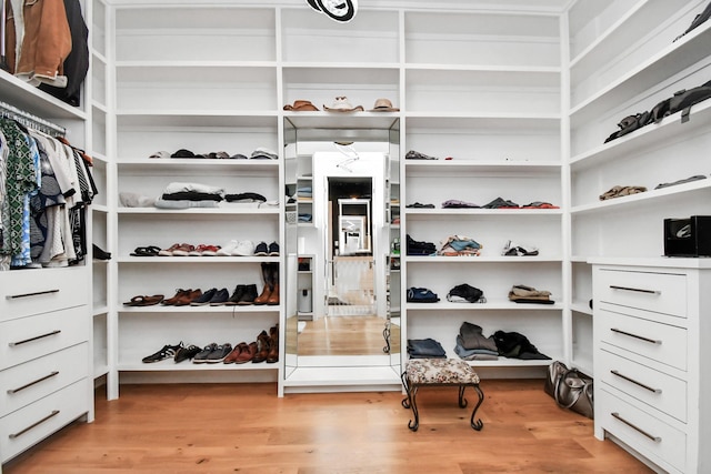 walk in closet featuring light hardwood / wood-style floors