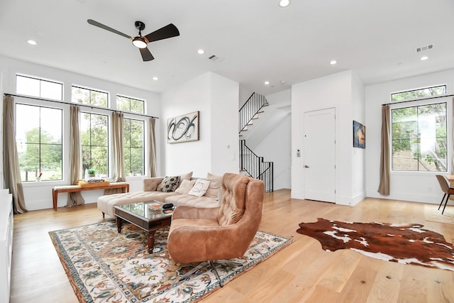 living room with ceiling fan and light wood-type flooring