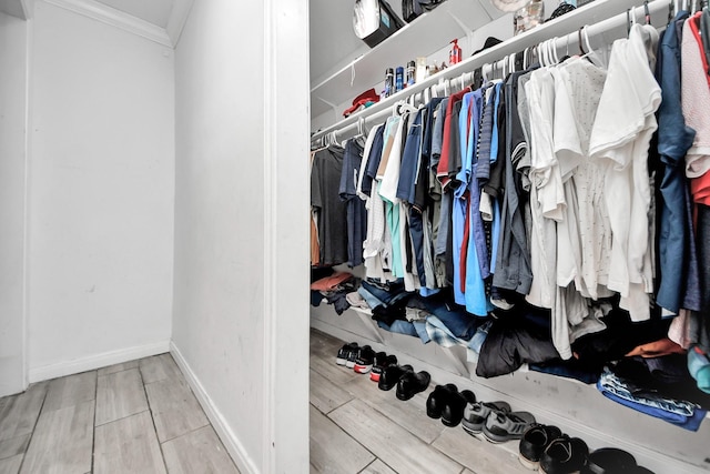 view of spacious closet