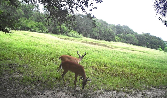 Listing photo 2 for TBD3 County Road 19, Garwood TX 77442