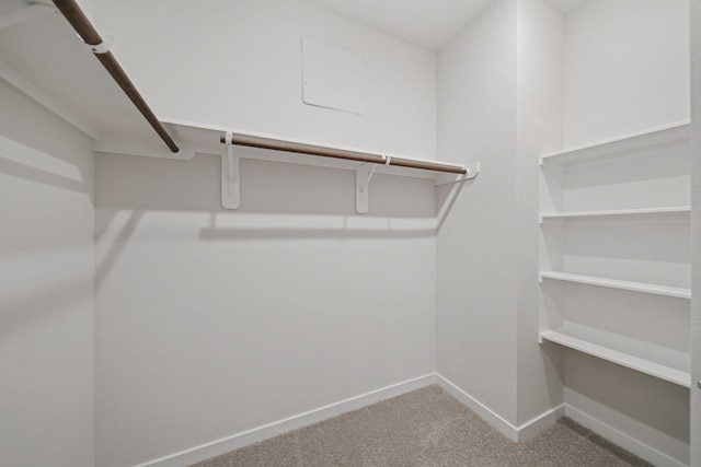 spacious closet with carpet floors