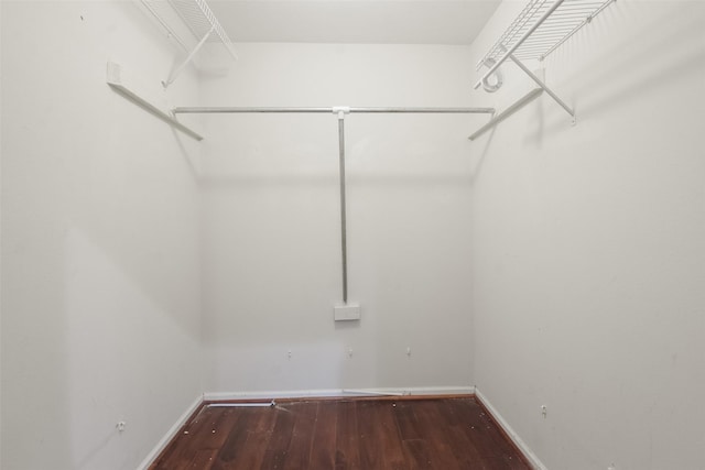 spacious closet with hardwood / wood-style flooring