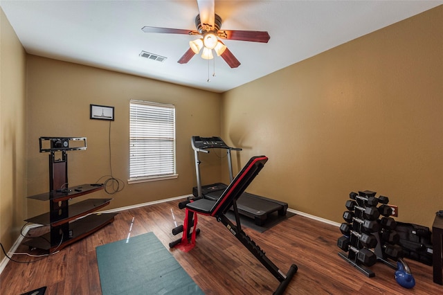 workout area featuring ceiling fan and dark hardwood / wood-style floors