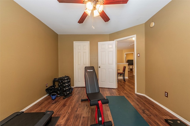 exercise room featuring ceiling fan and dark hardwood / wood-style flooring