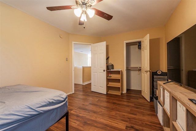 bedroom with ceiling fan, a closet, and dark hardwood / wood-style floors