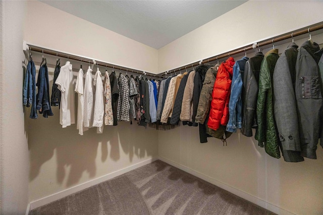 9211 Melmack Dr, Rosharon, TX 77583 - spacious closet featuring carpet floors