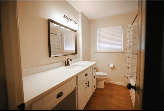 bathroom featuring toilet, vanity, and wood-type flooring