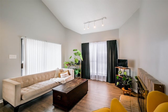 living room with hardwood / wood-style flooring and high vaulted ceiling