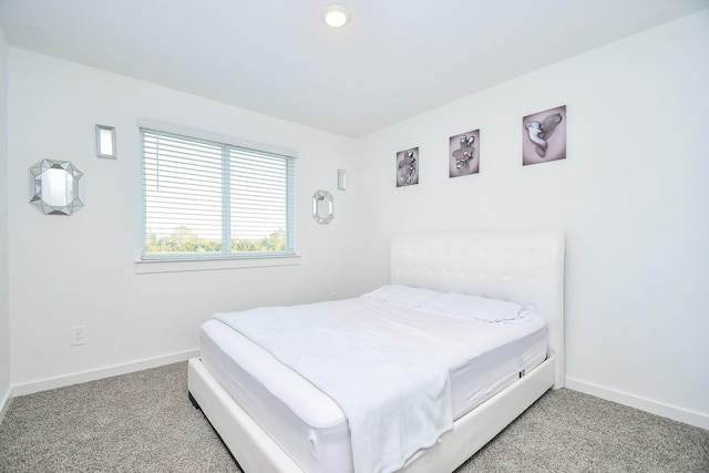 bedroom with carpet flooring