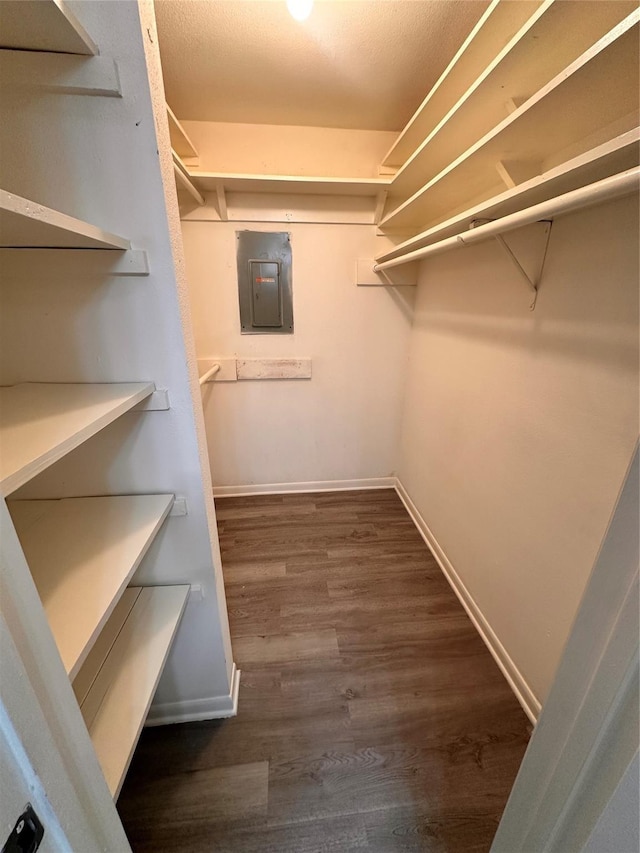 walk in closet featuring dark hardwood / wood-style floors and electric panel