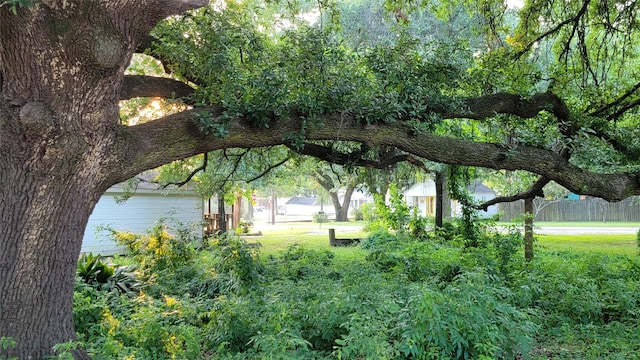 view of property's community featuring a yard