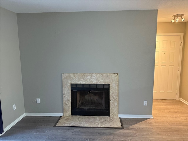 interior details with hardwood / wood-style flooring and a premium fireplace