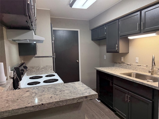 kitchen with light stone countertops, electric range, dishwasher, sink, and wood-type flooring