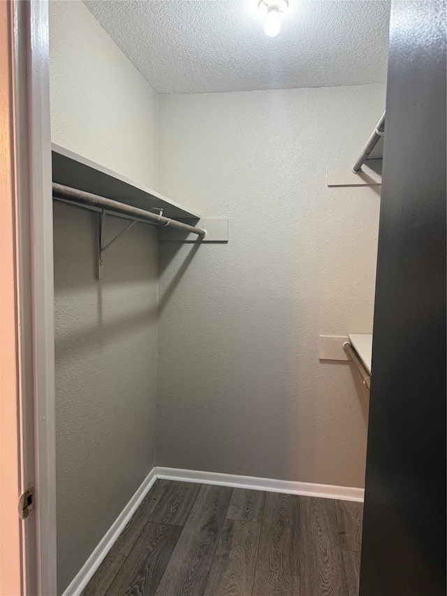 walk in closet with dark hardwood / wood-style flooring