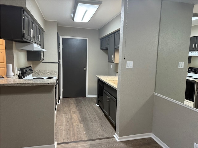 kitchen featuring electric stove, electric range, wood-type flooring, and extractor fan