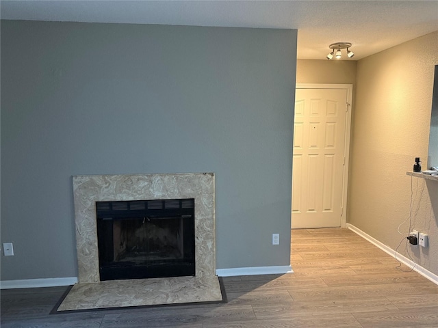 room details featuring a fireplace and hardwood / wood-style flooring