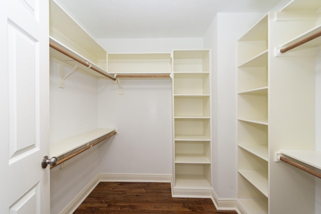 walk in closet featuring dark wood-type flooring