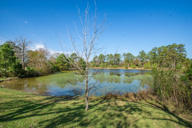 view of water feature