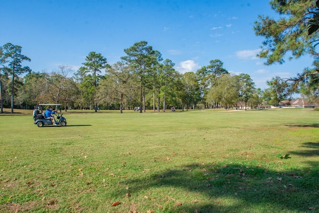 view of community with a yard