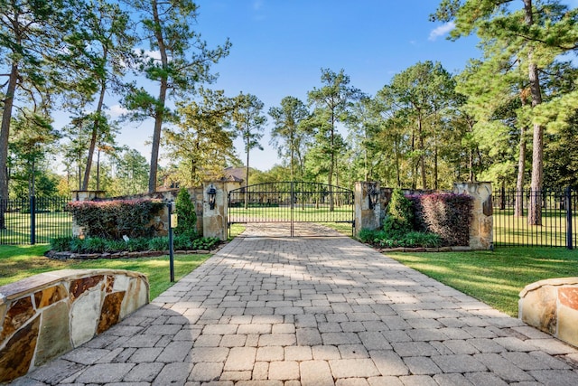 28322 Meadow Frst, Magnolia, TX 77355 - view of gate
